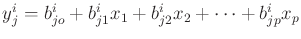 $y_j^i = b_{jo}^i + b_{j1}^i x_1 + b_{j2}^i x_2 + \cdots + b_{jp}^i x_p$